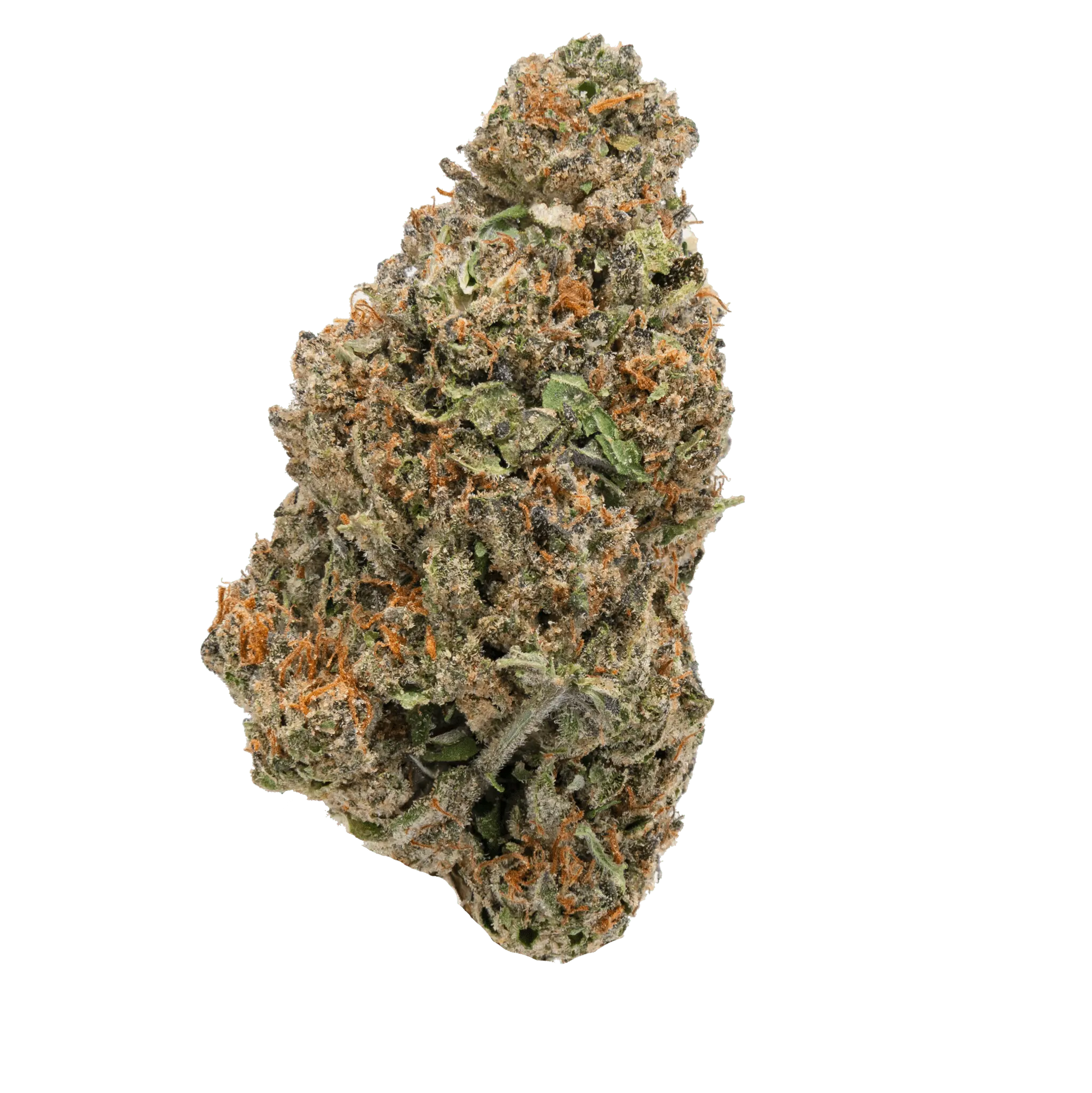 Mango Star Fruit Gelato - THCa Flower