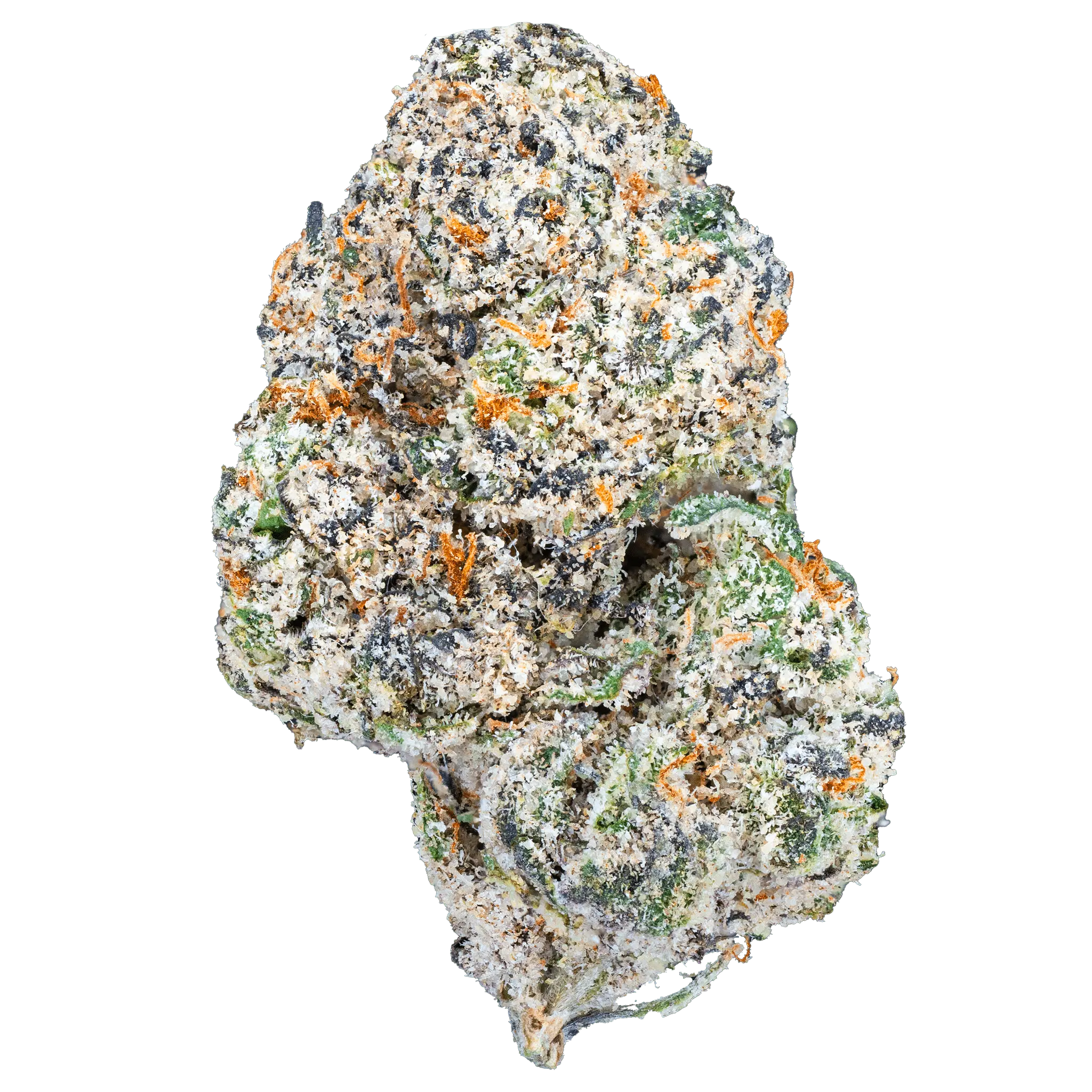 FlemGod - Blue Cherry Gelato THCa Flower