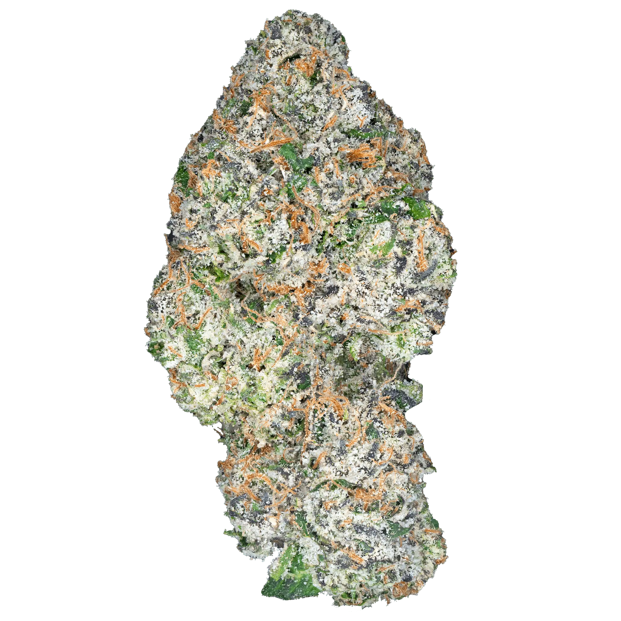 Rizz Boy Color Rainbow Sherbert - THCa Flower