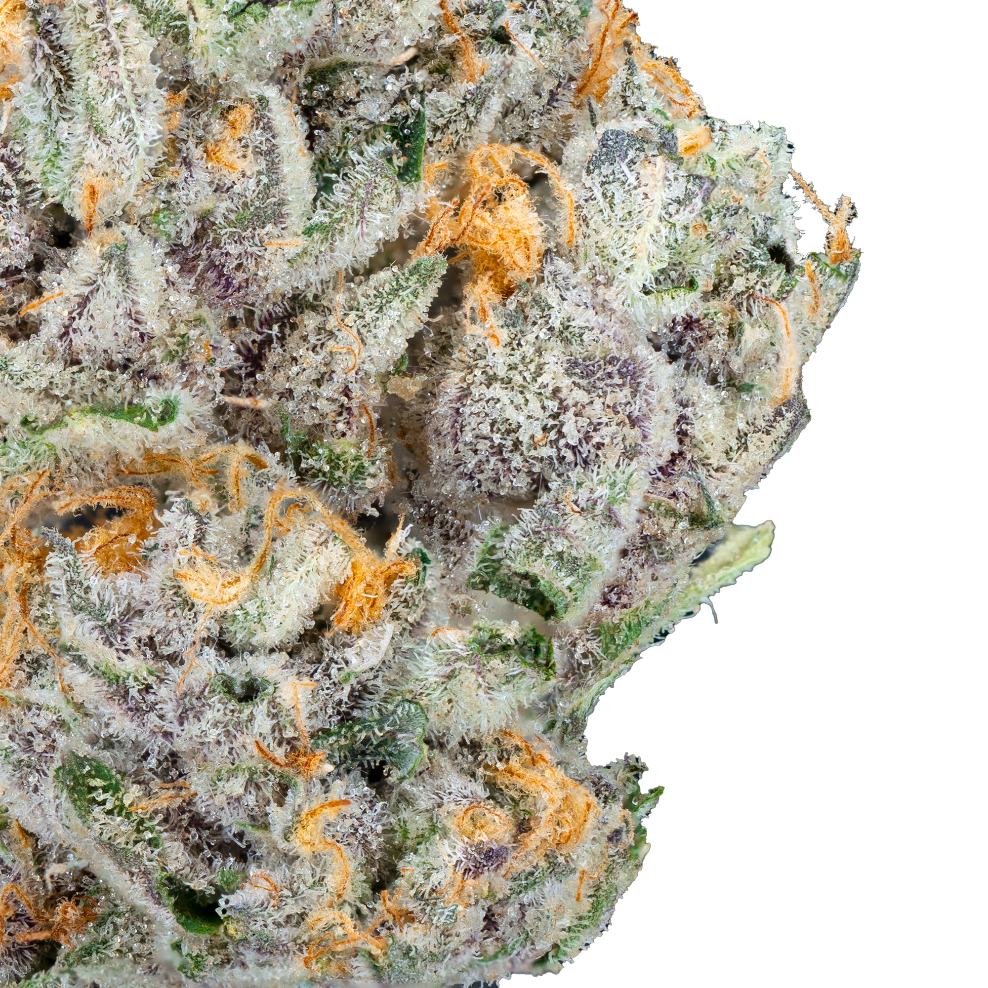 Free Tory Pack - THCa Flower