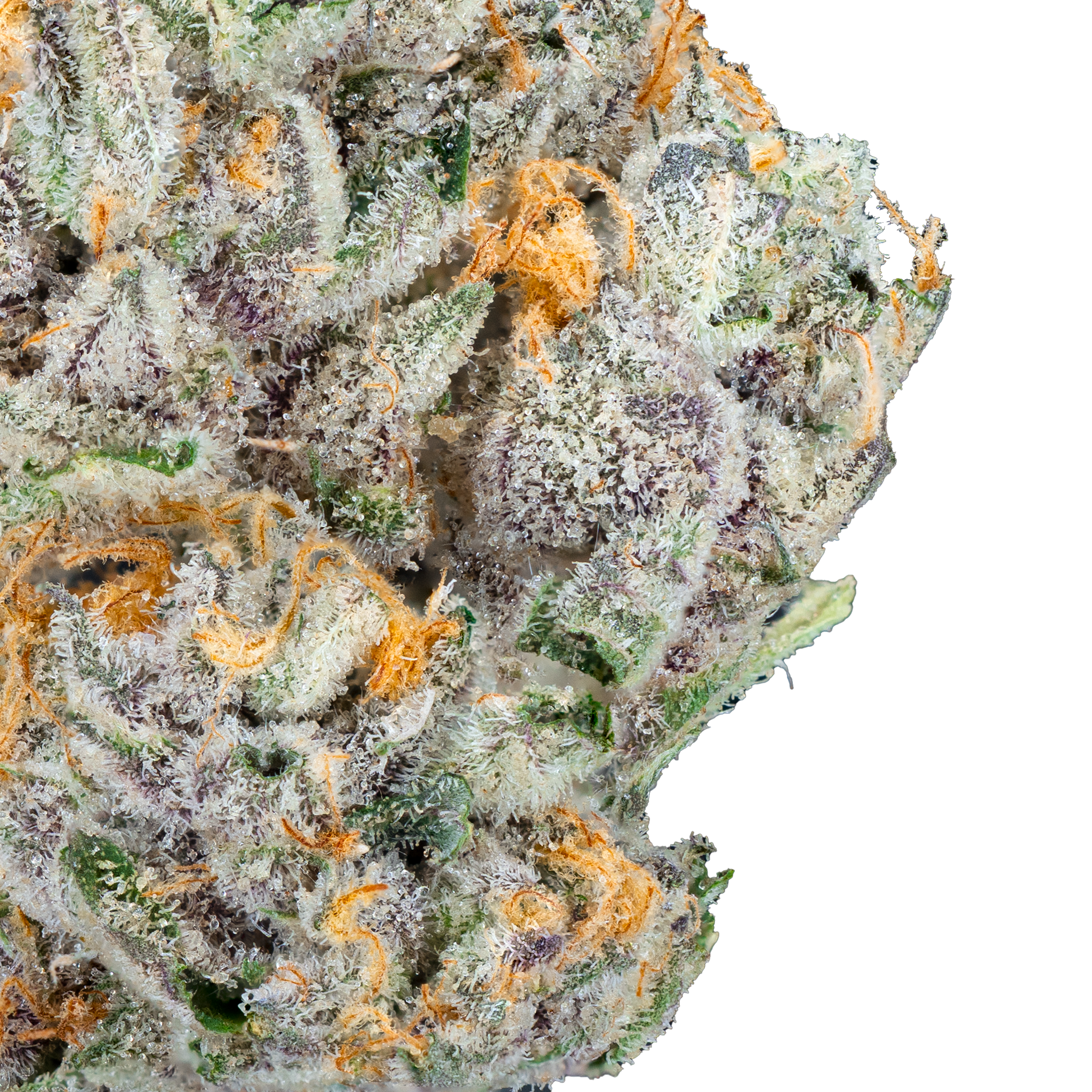 Free Tory Pack - THCa Flower