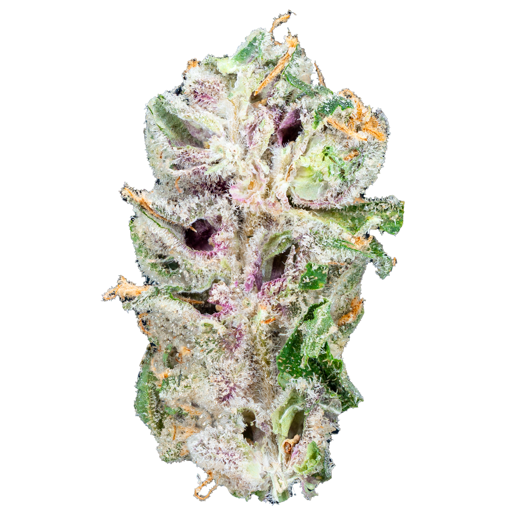 Free Tory Pack - THCa Flower