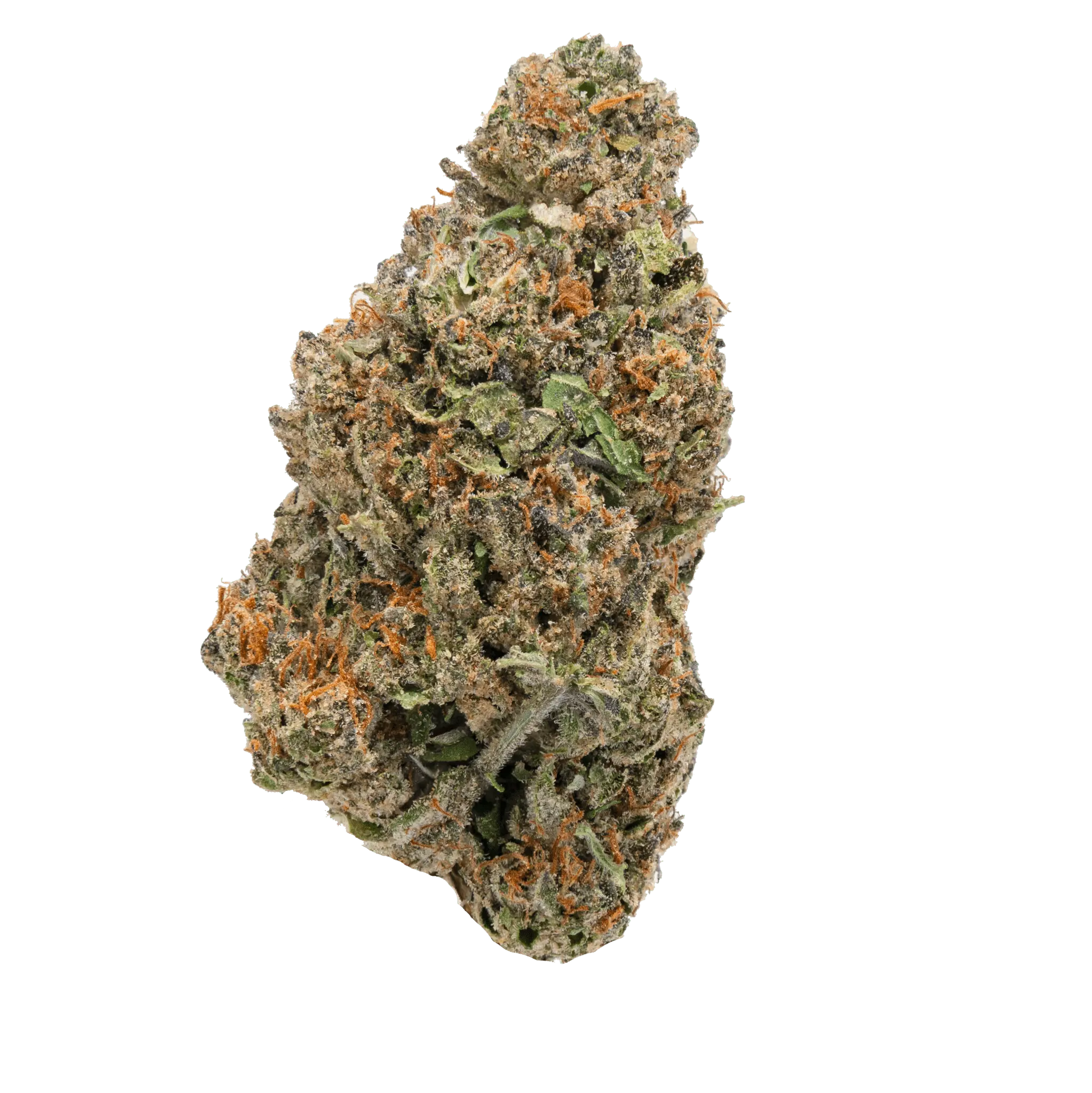 Mango Star Fruit Gelato - THCa Flower