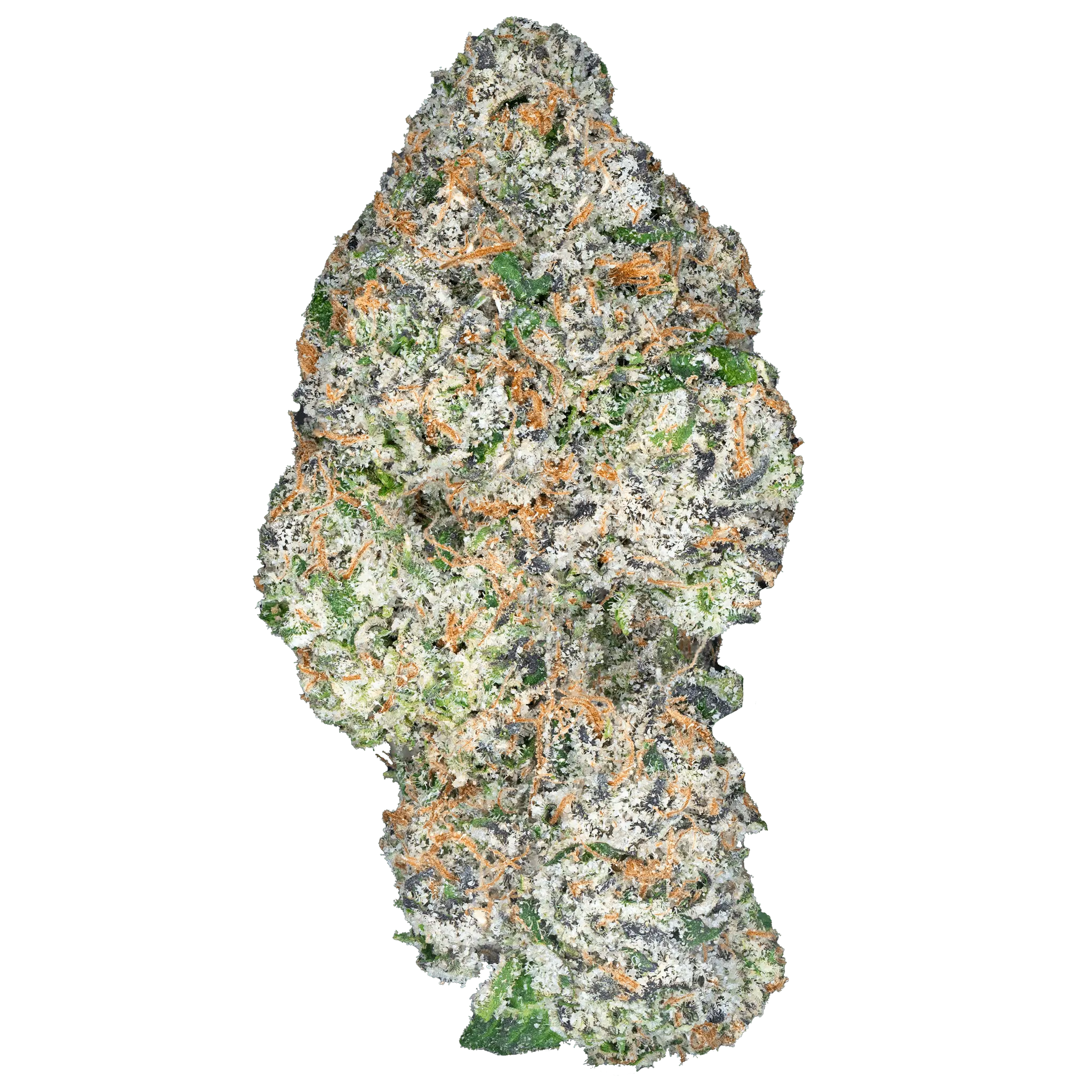 Rizz Boy Color Rainbow Sherbert - THCa Flower